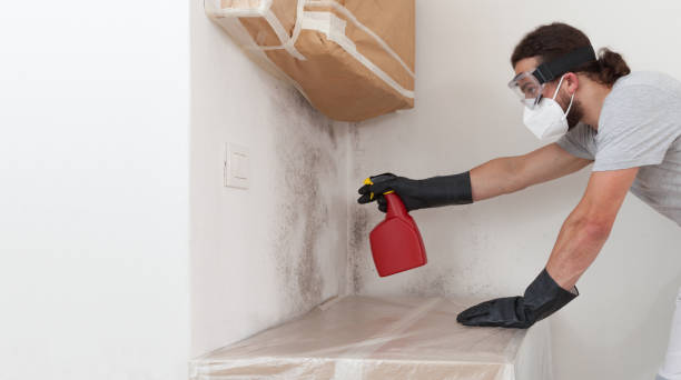 Professional Bathroom Mold Removal technician working in Hyattsville, MD