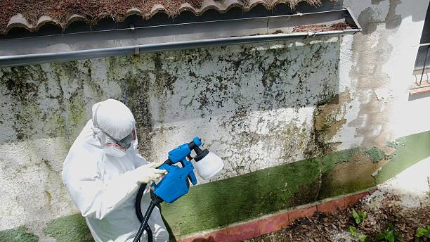 Top rated local Bathroom Mold Removal specialists in Hyattsville, MD